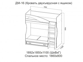 ДМ-16 Кровать двухъярусная с ящиком в Чайковском - chajkovskij.magazin-mebel74.ru | фото