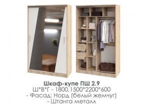 шкаф-купе ПШ-2.9 1500 Норд Белый жемчуг 1500 в Чайковском - chajkovskij.magazin-mebel74.ru | фото