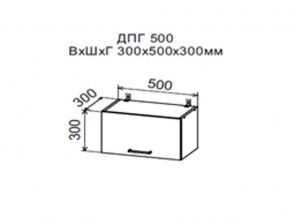 Шкаф верхний ДПГ500 горизонтальный в Чайковском - chajkovskij.magazin-mebel74.ru | фото