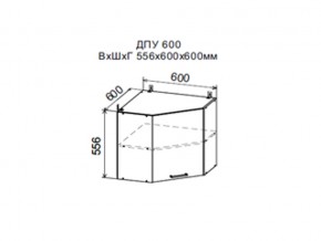 Шкаф верхний ДПУ600 угловой в Чайковском - chajkovskij.magazin-mebel74.ru | фото